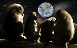 planet-of-the-apes-679911_960_720.jpg