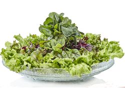 salat-3.jpg